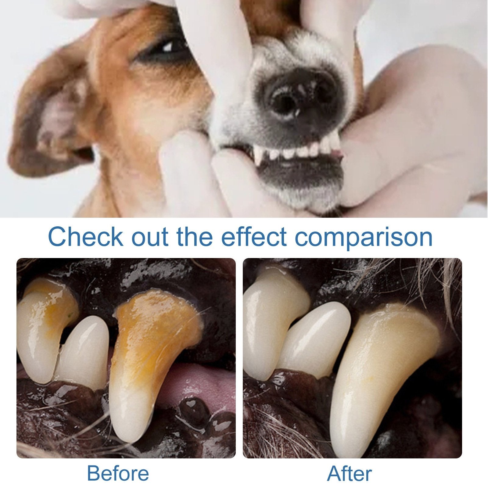 🐶Foam for removing tartar from pet teeth – Fresh breath & healthy teeth. no brushing required!🦷