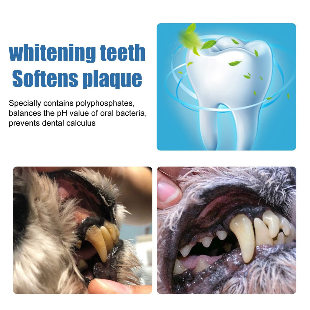 🐶Foam for removing tartar from pet teeth – Fresh breath & healthy teeth. no brushing required!🦷