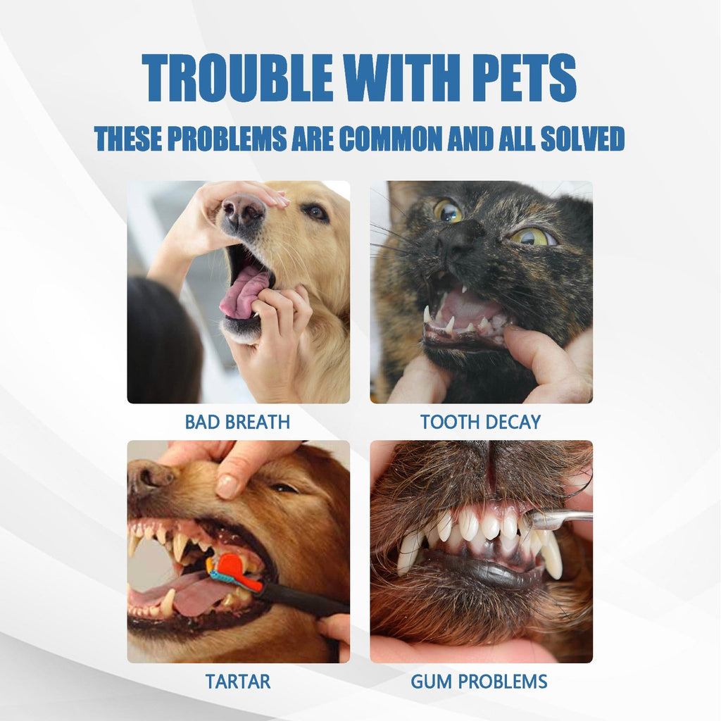 🐶Foam for removing tartar from pet teeth – Fresh breath & healthy teeth. no brushing required!🦷