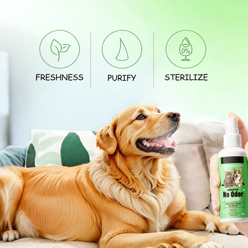 Teeth Cleaning Spray for Pets