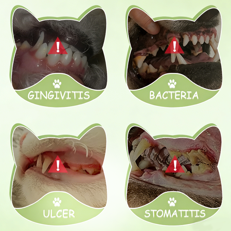 Teeth Cleaning Spray for Pets