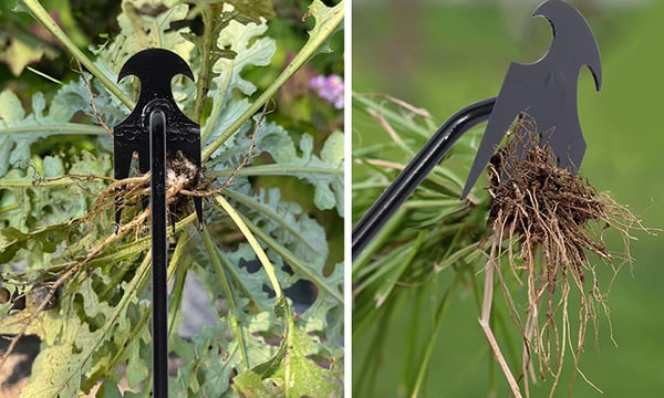 Garden Weed Pulling Tool