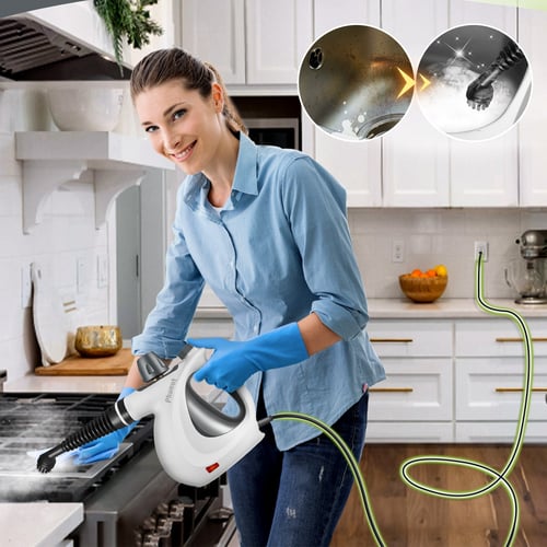 Fast Heat-Up Portable Handheld Steam Disinfection Cleaner