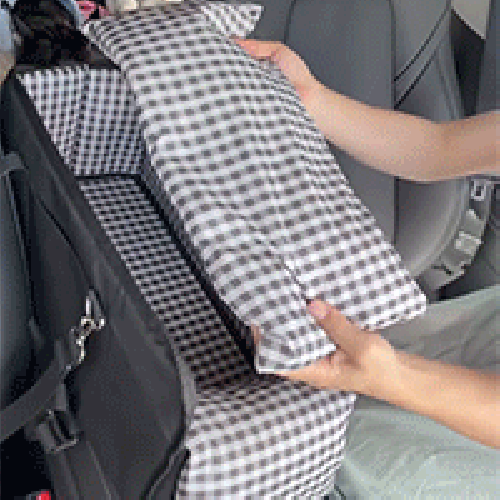 Must-Have Center Console Dog Car Seat