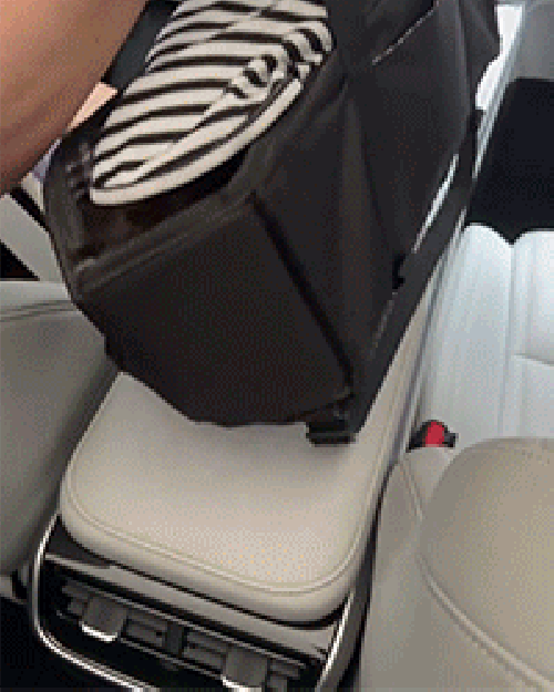 Must-Have Center Console Dog Car Seat