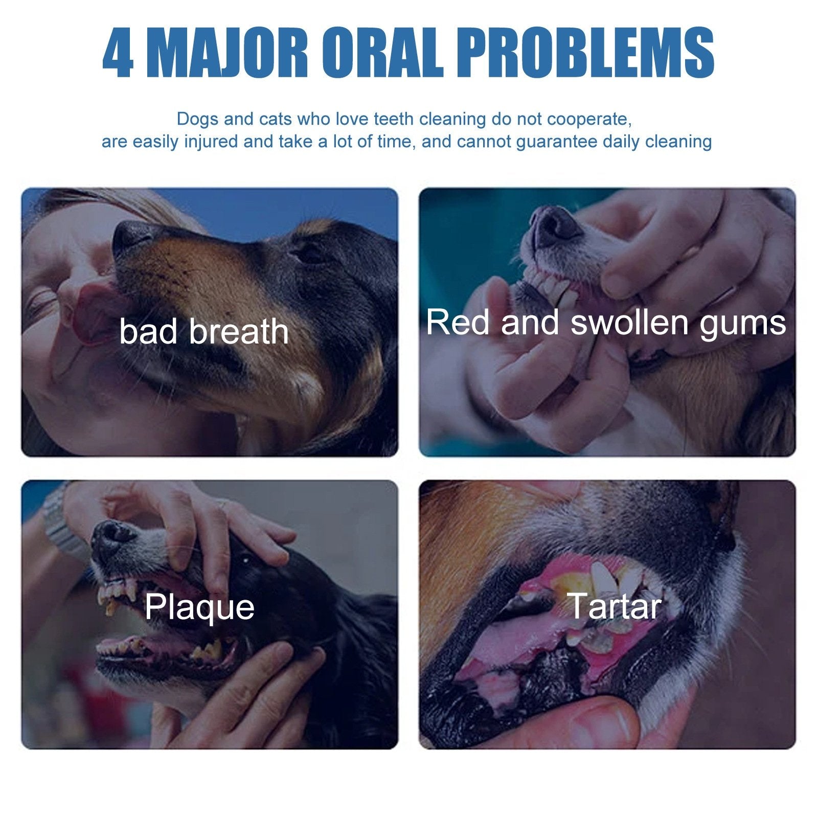 🐶Foam for removing tartar from pet teeth – Fresh breath & healthy teeth. no brushing required!🦷