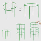 🔥Time-Limited Special🔥Detachable Plant Frame Support Stakes for Flowers and Fruits