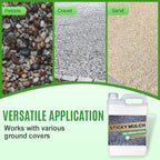 ⏳Time-limited Special⏰Quick-Drying Sticky Landscape Adhesive