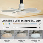 ⏳LAST DAY SALE 50% OFF🔥40W LED Ceiling Fan Light – 20.5 Ultra-Quiet with Remote 🎯 | E27 + FREE B22 Adapter 🔌 | For Bedroom 😴. Kitchen 👩‍🍳 & Garage 🛠️